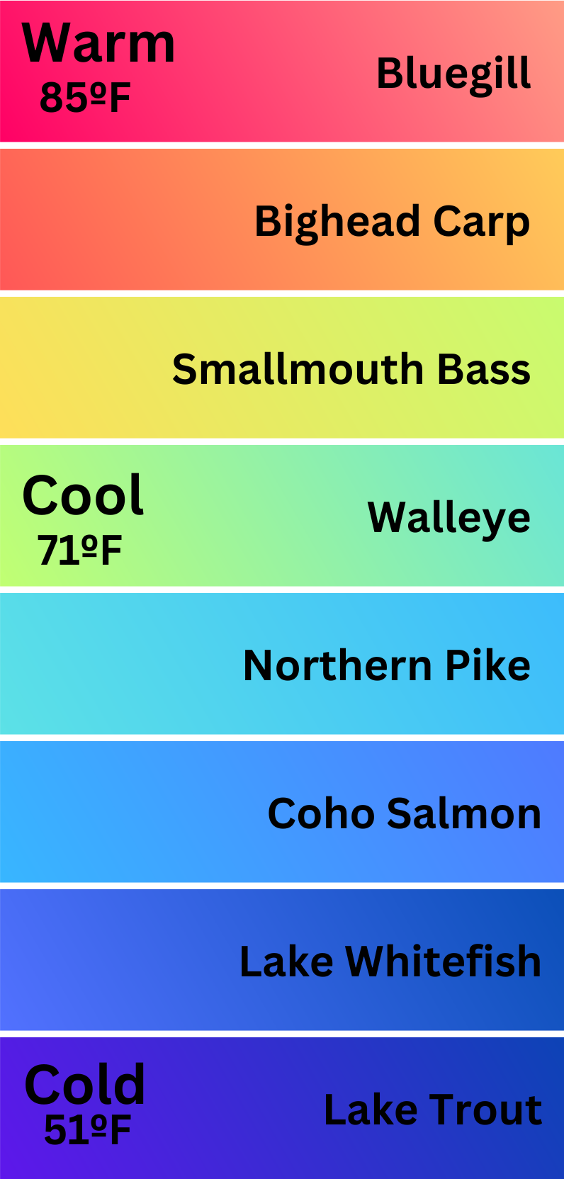 An infographic that shows fish species temperature preferences from warm to cold water ranging from 85 to 51 degrees Farenheit. Warmer water fish include Bluegill, Bighead Carp, and Smallmouth Bass. Cool water fish include Walleye, Northern Pike, Coho Salmon, Lake Whitefish and Lake Trout.