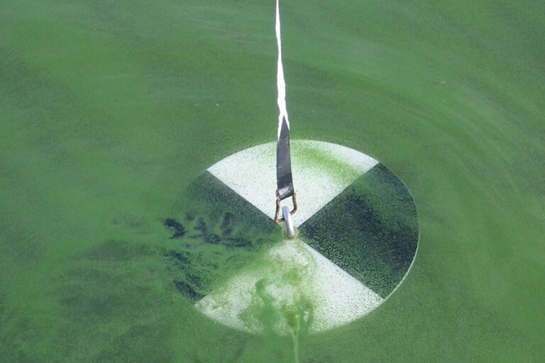 Circular disk colored with an alternating black and white pie shaped pattern. The disk is submerged in the water under green algae.