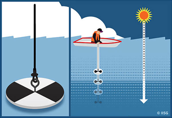 A portion of this graphic illustrates a Secchi disk up close. The disk is circular with alternating 2 black and 2 white pie shaped wedges. The next illustration demonstrates the use of the Secchi disk aboard a boat, the disk is lowered into the water body. The visibility of the Secchi disk decreases the deeper depths. The illustration show that this corresponds with the ability of sunlight to penetrate deeper depths.