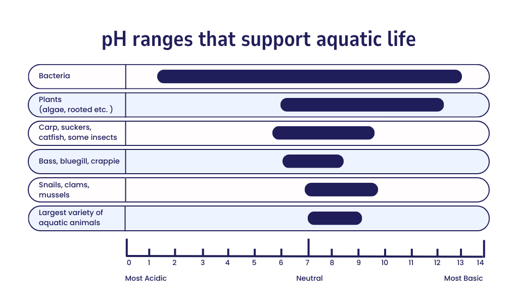 A bar graph that illustrates the pH ranges that support aquatic life. Bacteria can live in the largest range from 1-13 on the scale. The pH range that supports plants is 6-12. Carp, suckers catfish and some insects can survive within a pH range of 5.5 to 9.9. Bass, bluegill and crappie prefer a narrower range of 6 to 8.5. While 7 to 10 is the pH range that supports snails, clams and mussels. Finally the largest variety of aquatic animals require the smallest range of pH from 7 to 9.