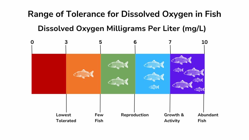 Graphic showing the range of tolerance for dissolved oxygen in fish. 3 mg/L is the lowest tolerated. Between 3-5 mg/L there are few fish. Reproduction is possible at 6 mg/L and Growth and Activities is optimized at 7 mg/L. There are Abundant fish at 10 mg/L.