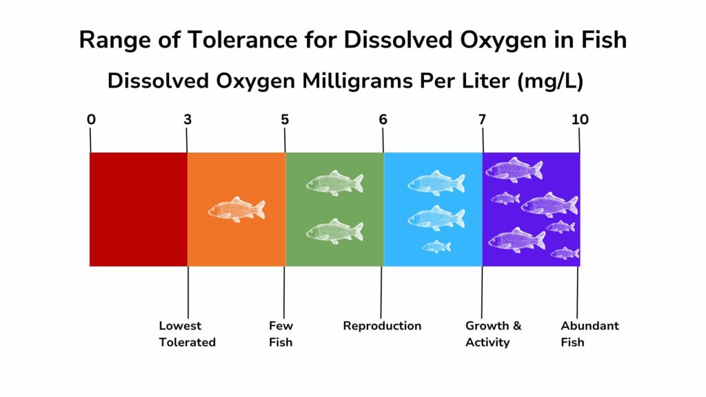 O2 Tolerance Test Dissolved Oxygen - Limno Loan